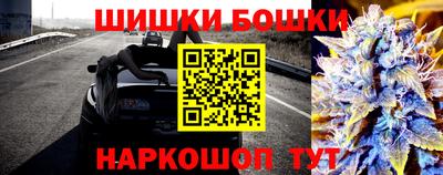 прущие грибы Свободный
