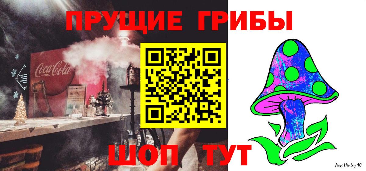 Псилоцибиновые грибы GOLDEN TEACHER  как найти закладки  Стрежевой  Вход с VPN 